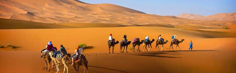 Escursione da Ouarzazate alle Gole del Dades 1 Giornata